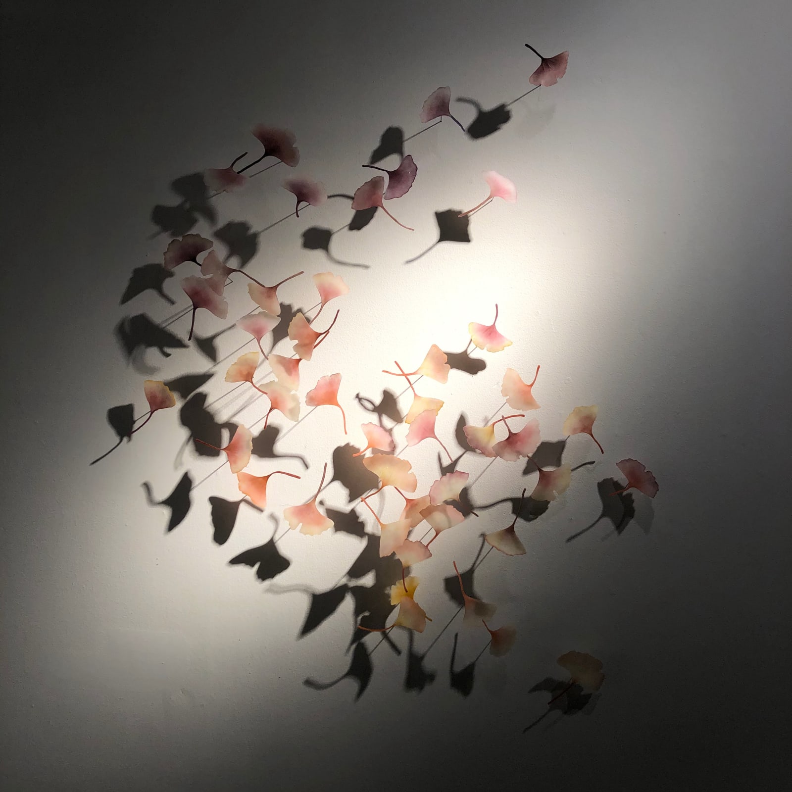 Like Butterflies Chasing Sunlight