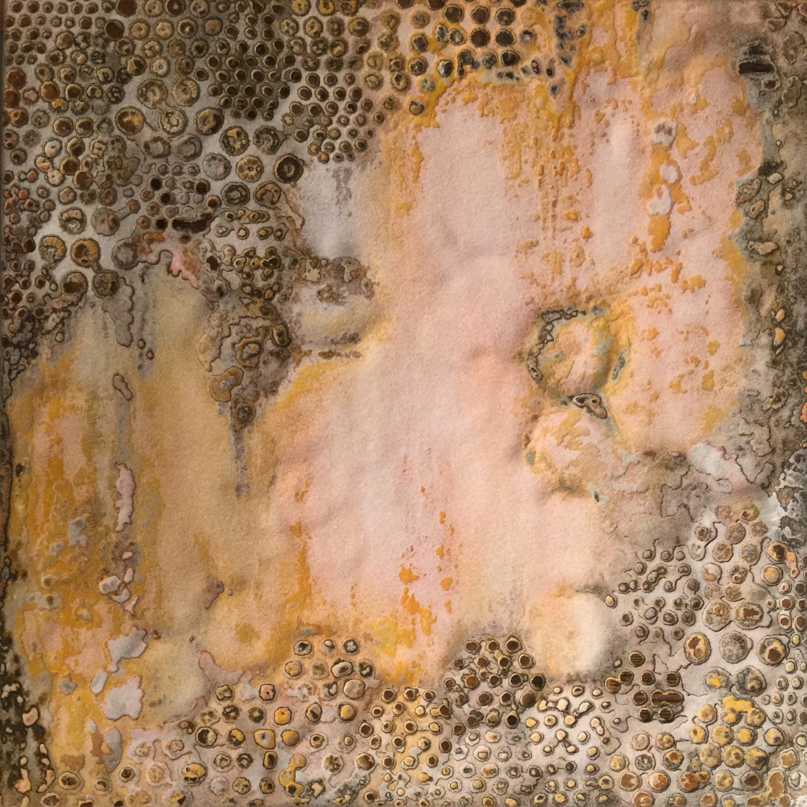 Transience II