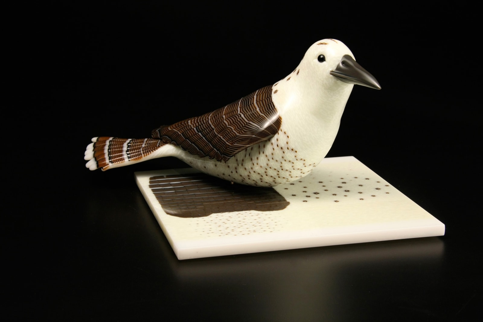 Avian Pair