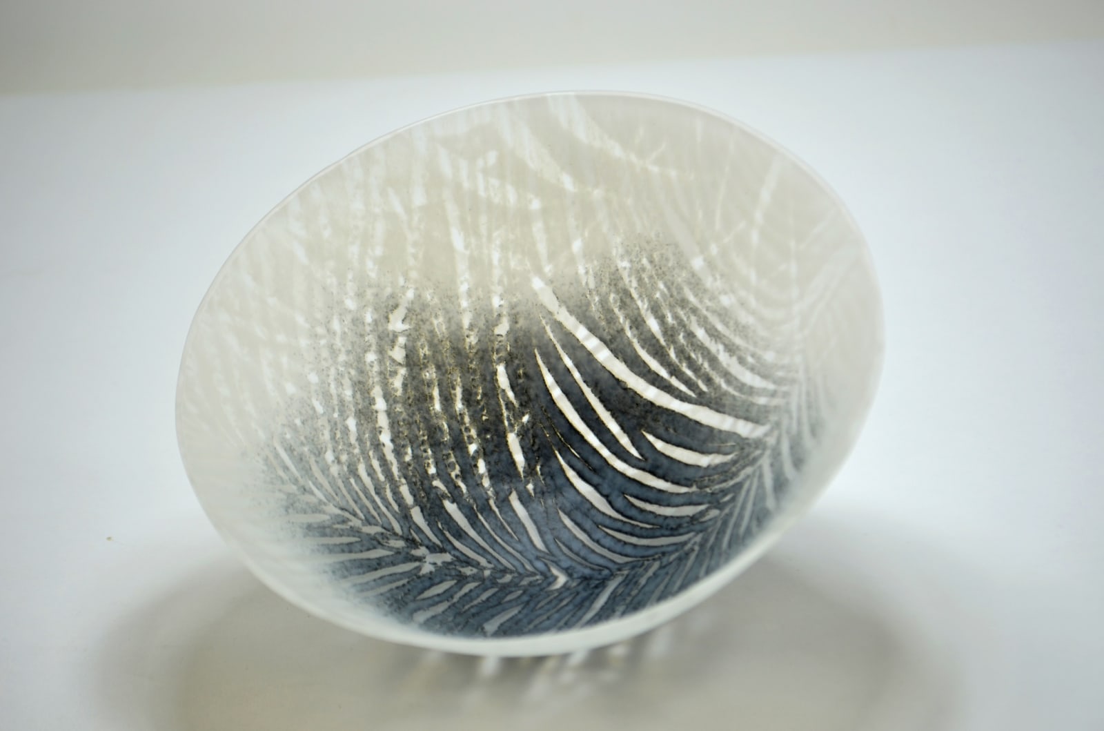 Feather from the Swallows V