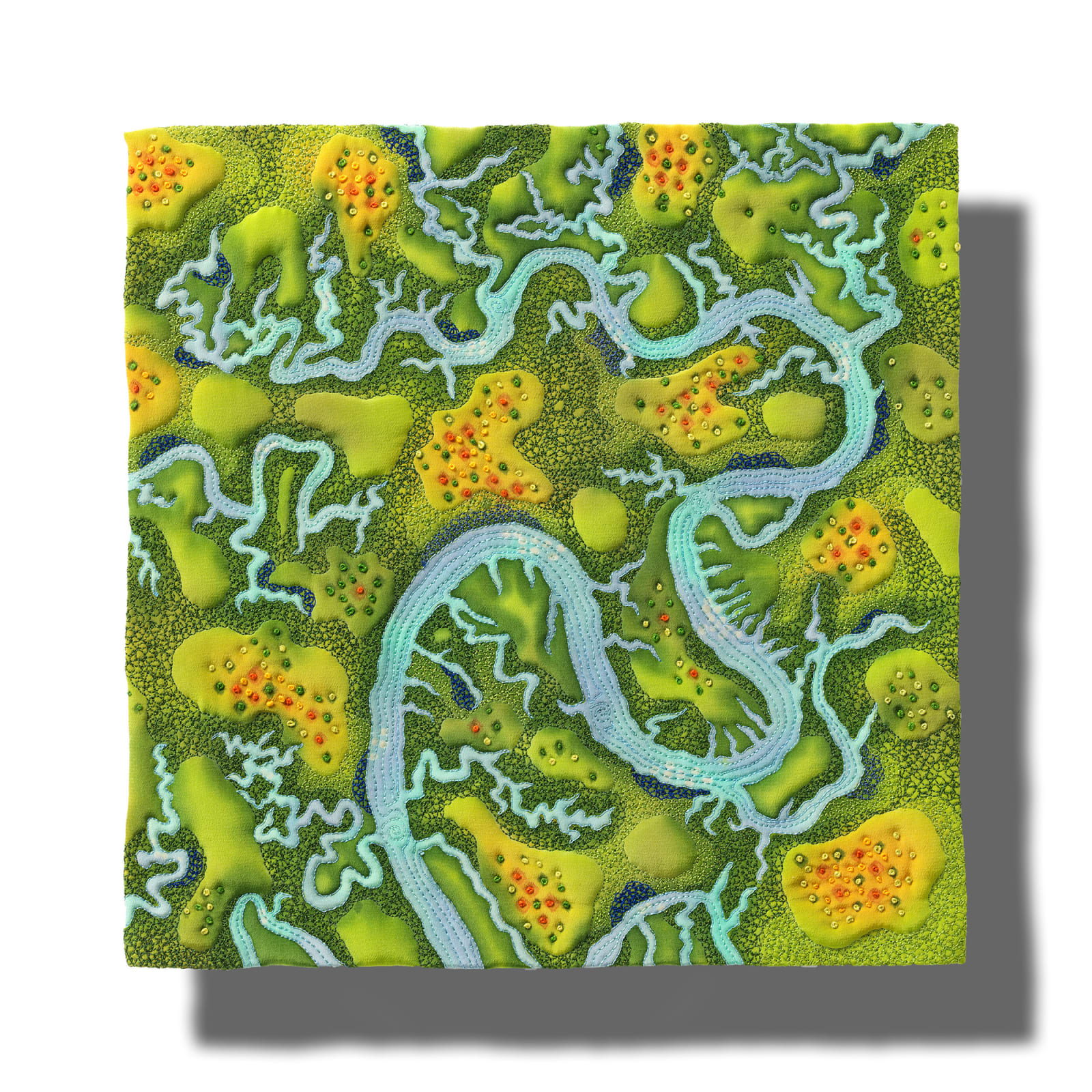 Hard and Soft: Reseeding Wetlands