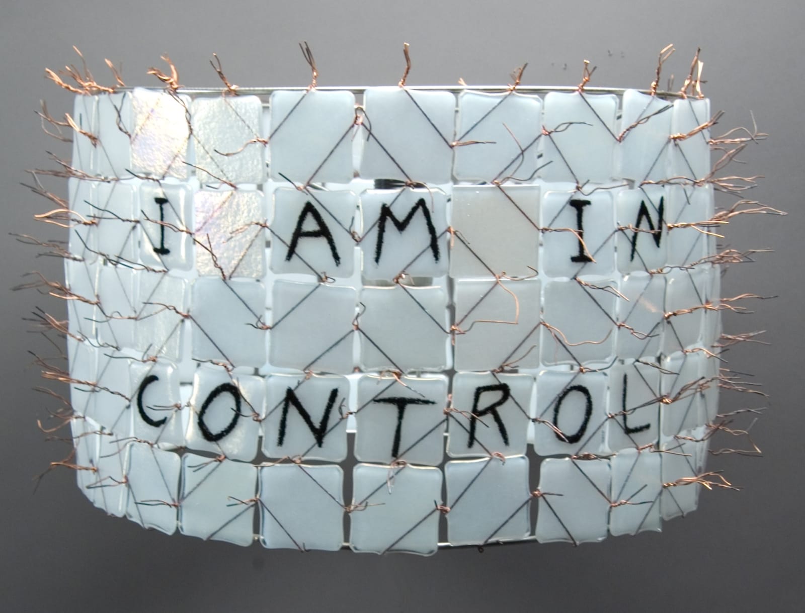 I Am In Control (Hanging Lampshade)