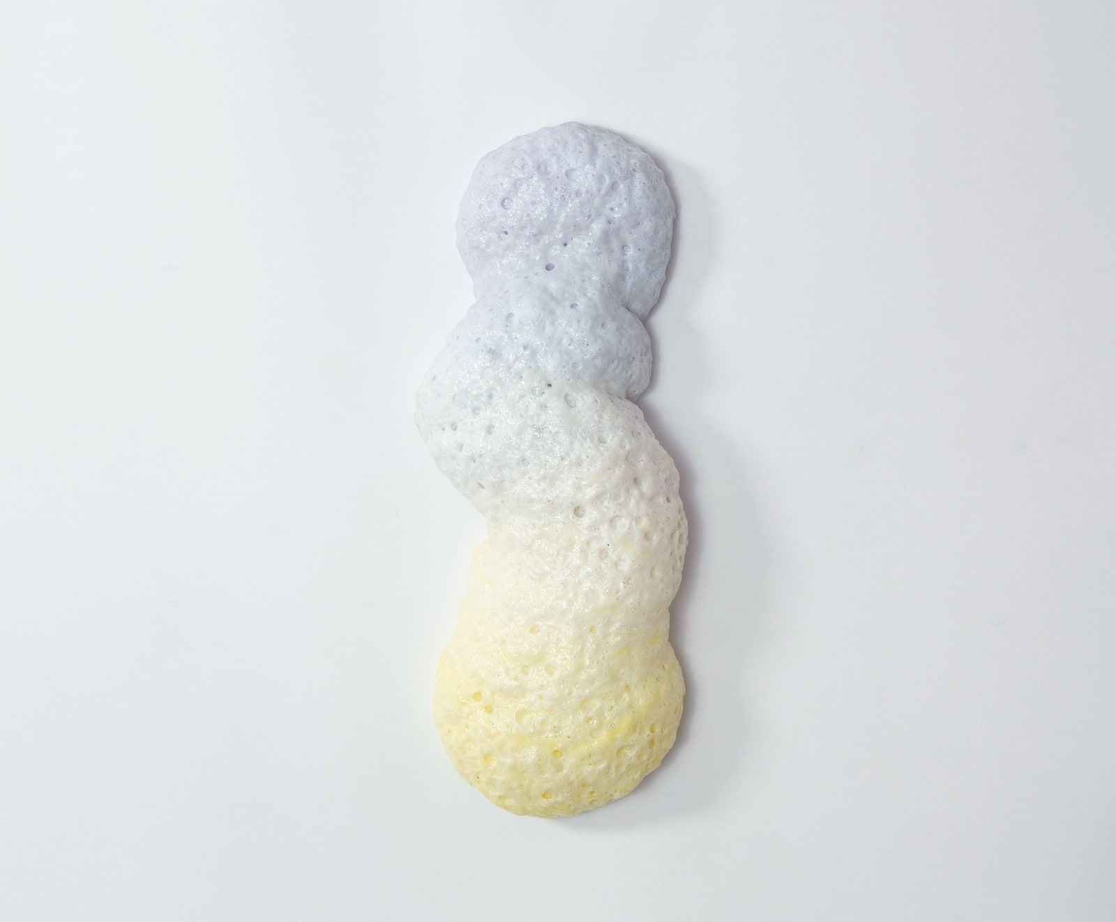 Porifera III