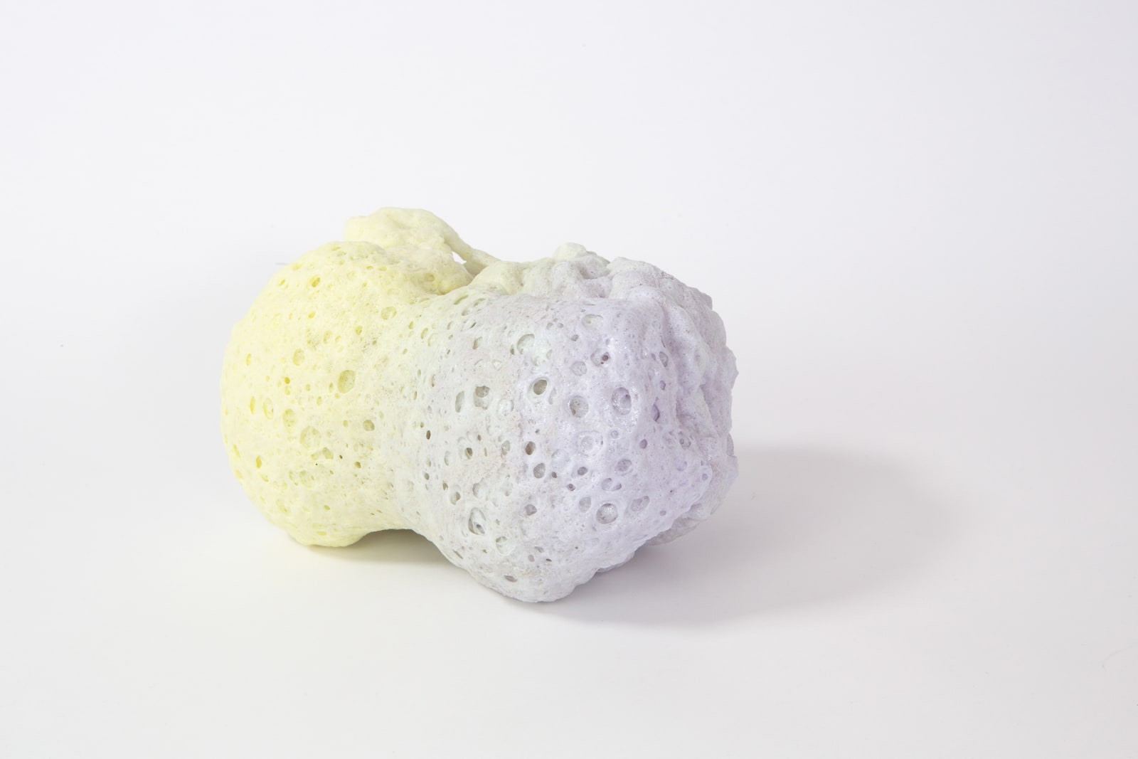 Porifera I