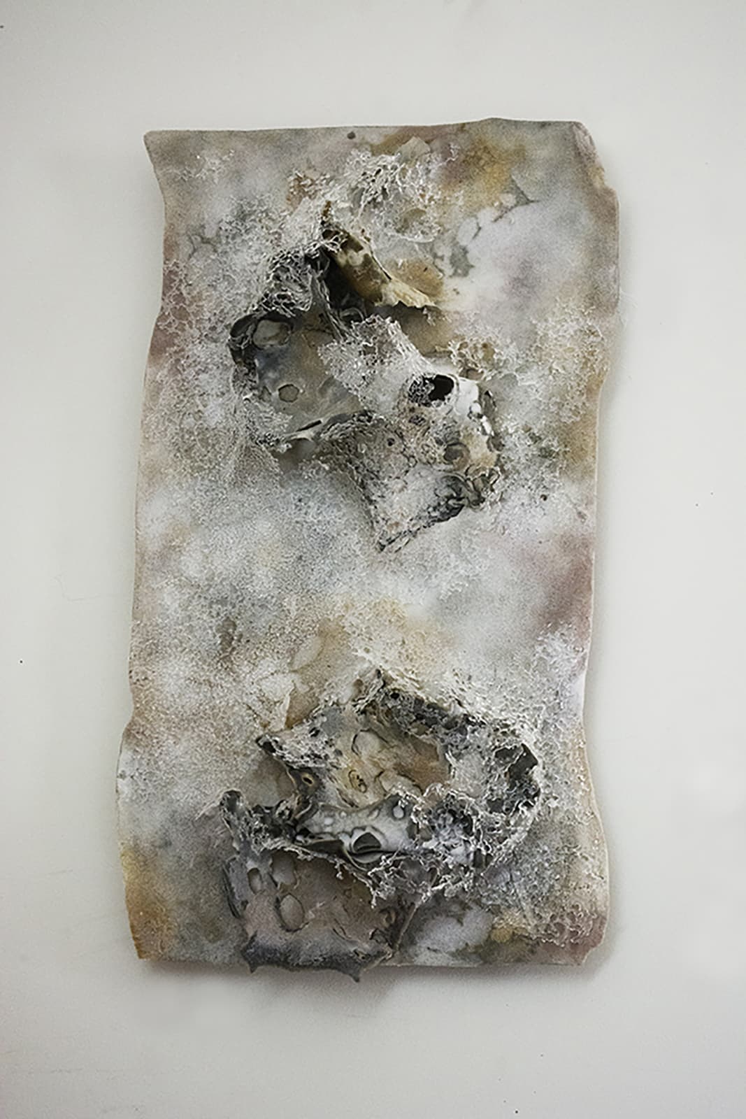 Beneath the ice