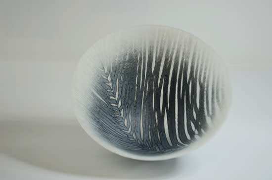 Feather from the Swallows VII