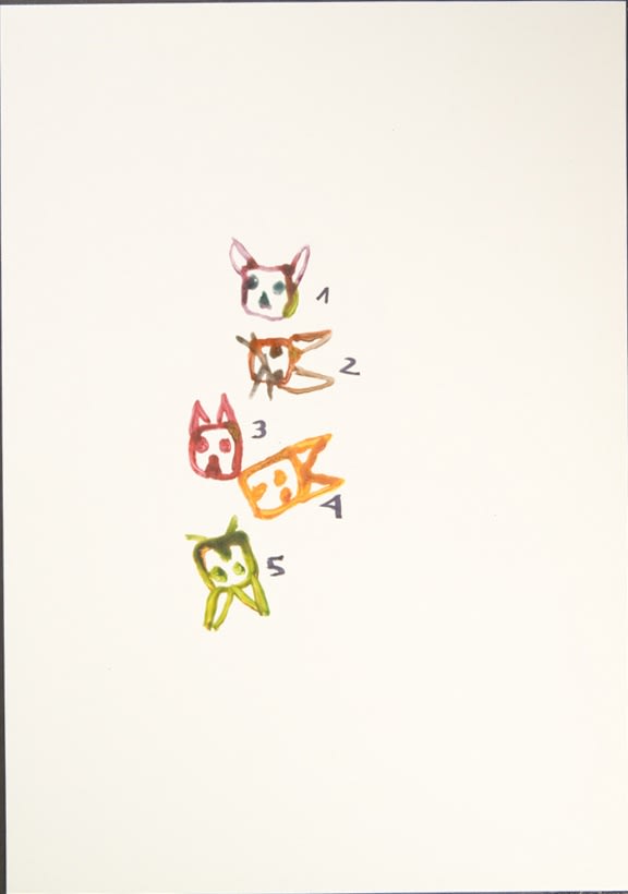 I live with 5 cats, They Don't Always Get Along