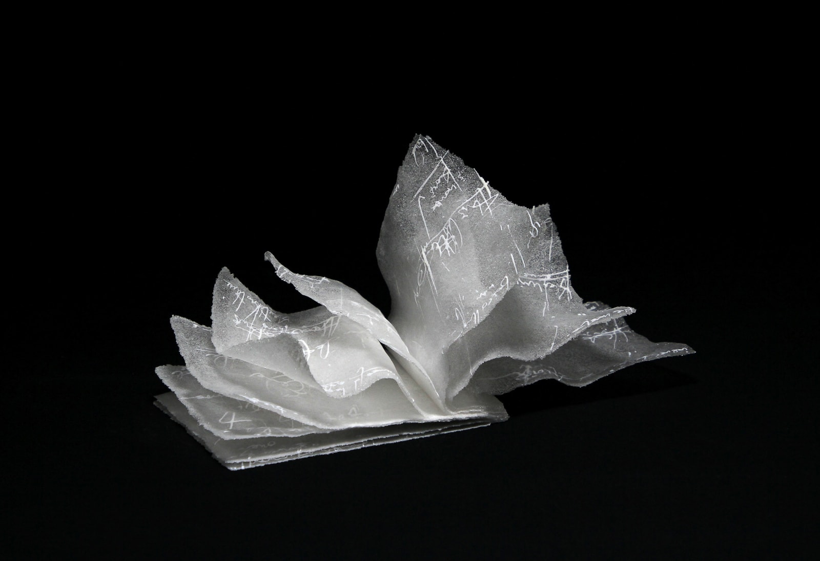 Book of Disquiet XIV