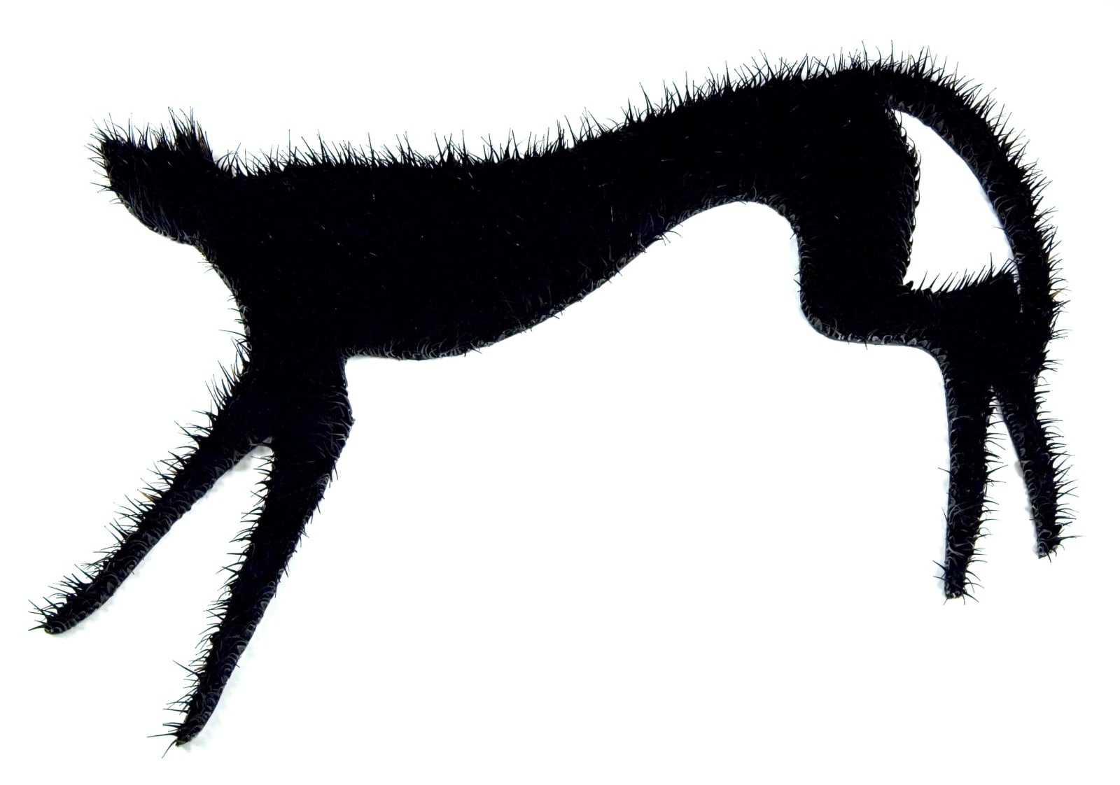 Wolves Hunting (02)