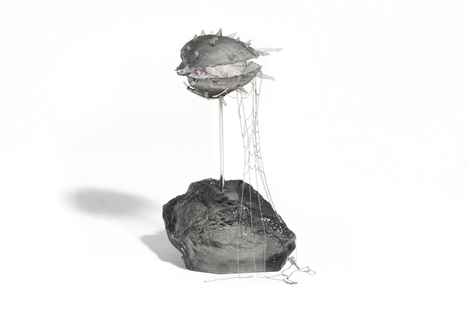 Silver Diver