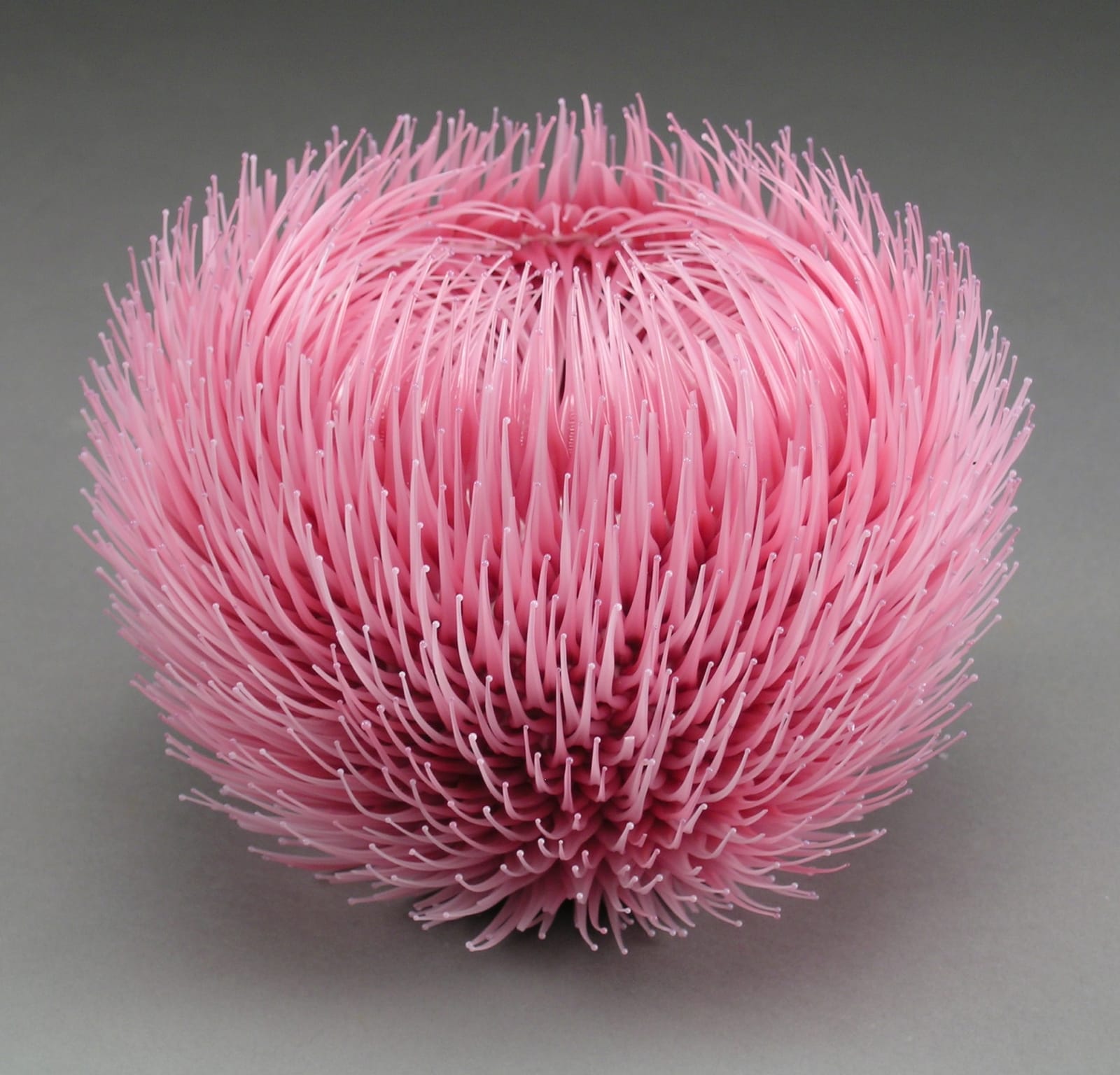 Tactual Stimulation Pink