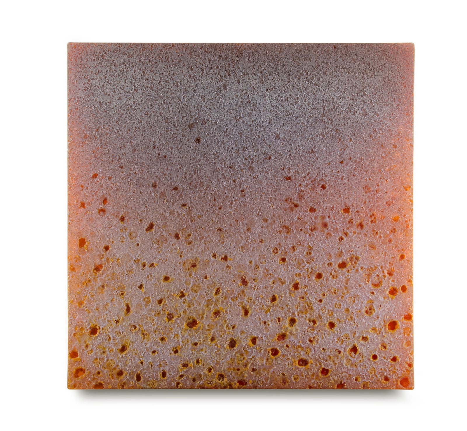 how does night fall on the flowers or light detach from coral during summer snow
