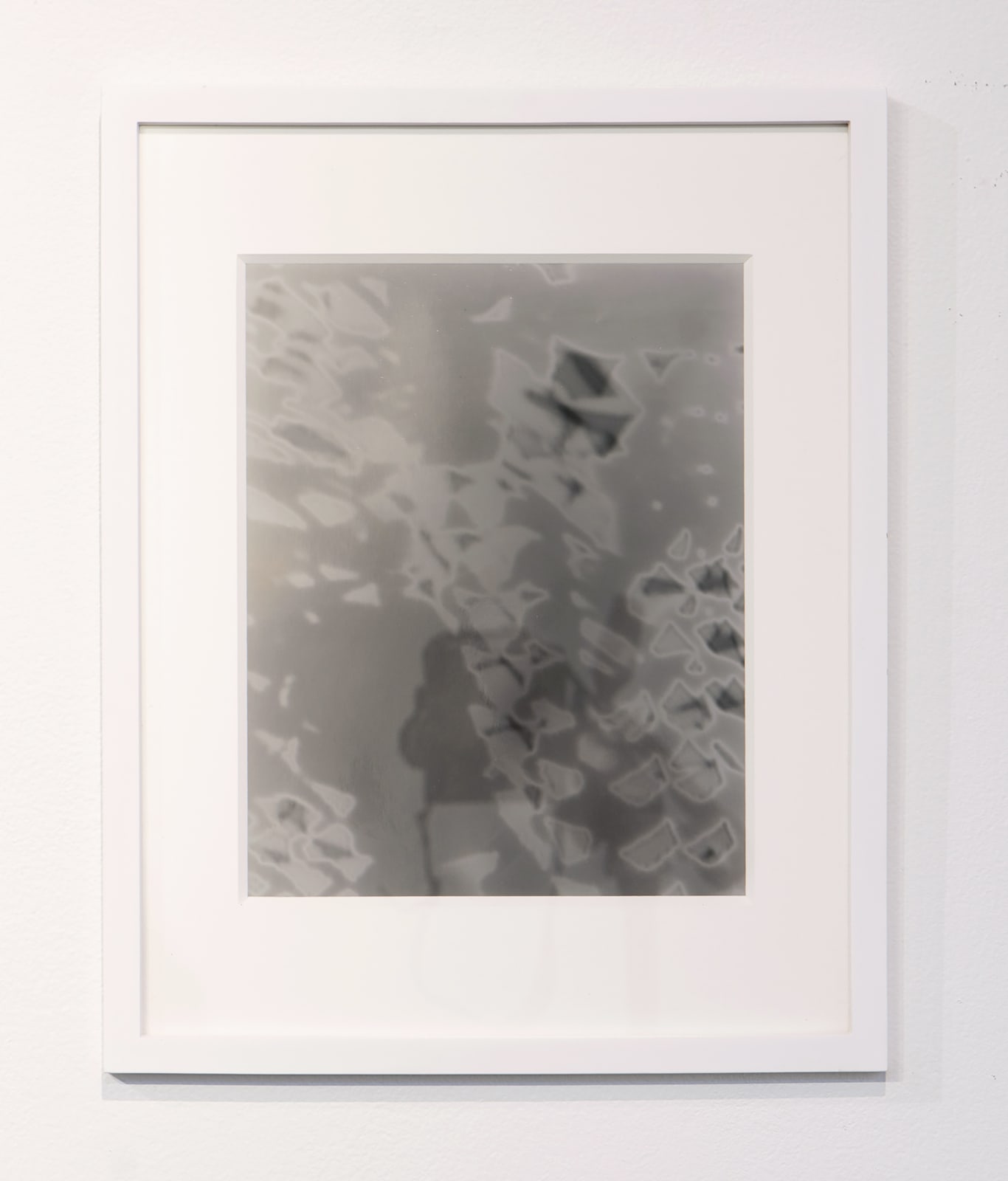 ARRAYBW001