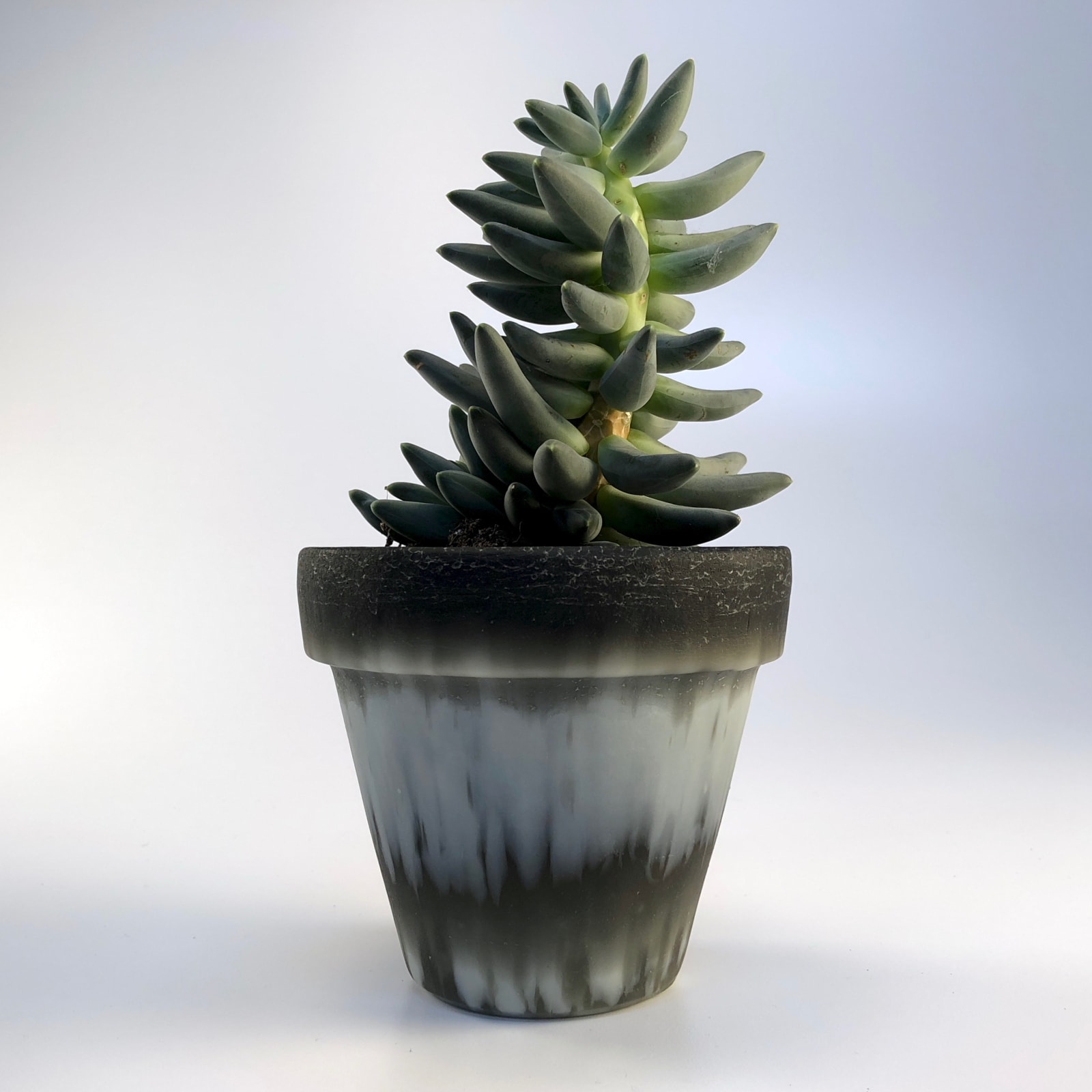 Small Flowerpot 02