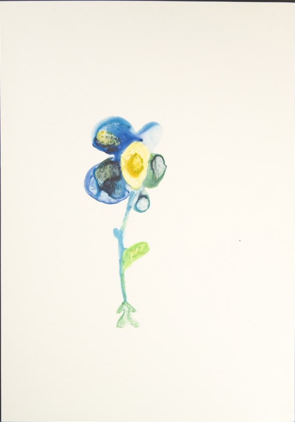 55/58 (Flower)