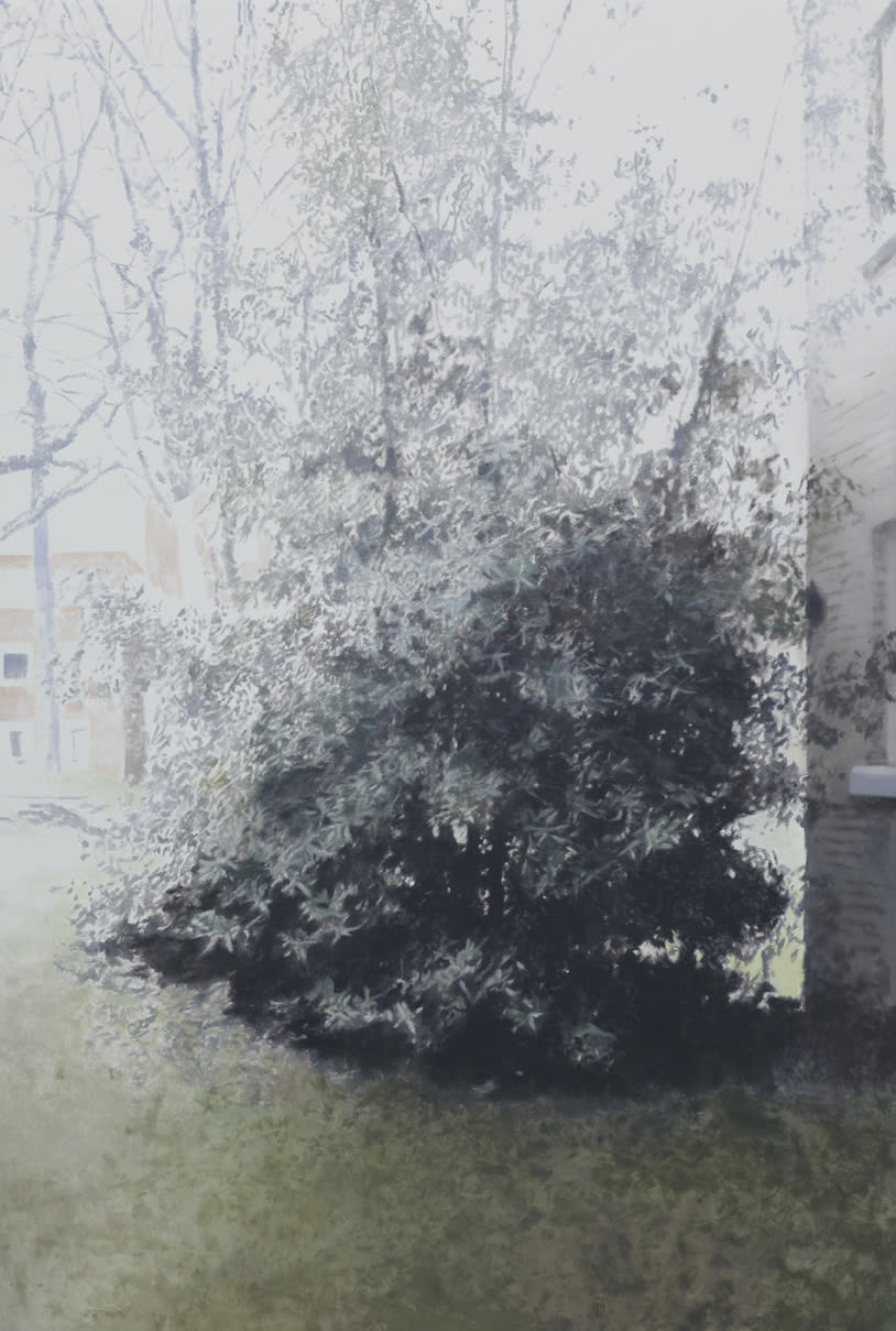 Paul Winstanley, Evergreen in the Grounds, 2010, 2010