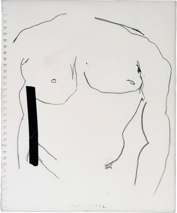 Not Vital, Torso, 2001