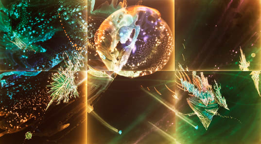 Christine Nguyen, A Good Beginning in Suspension, 2010