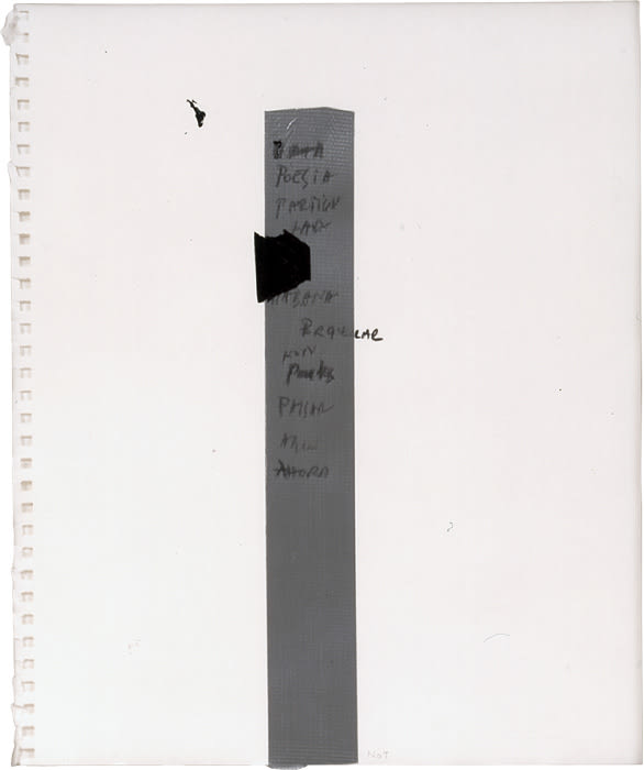 Not Vital, Poesia Particular, 2001