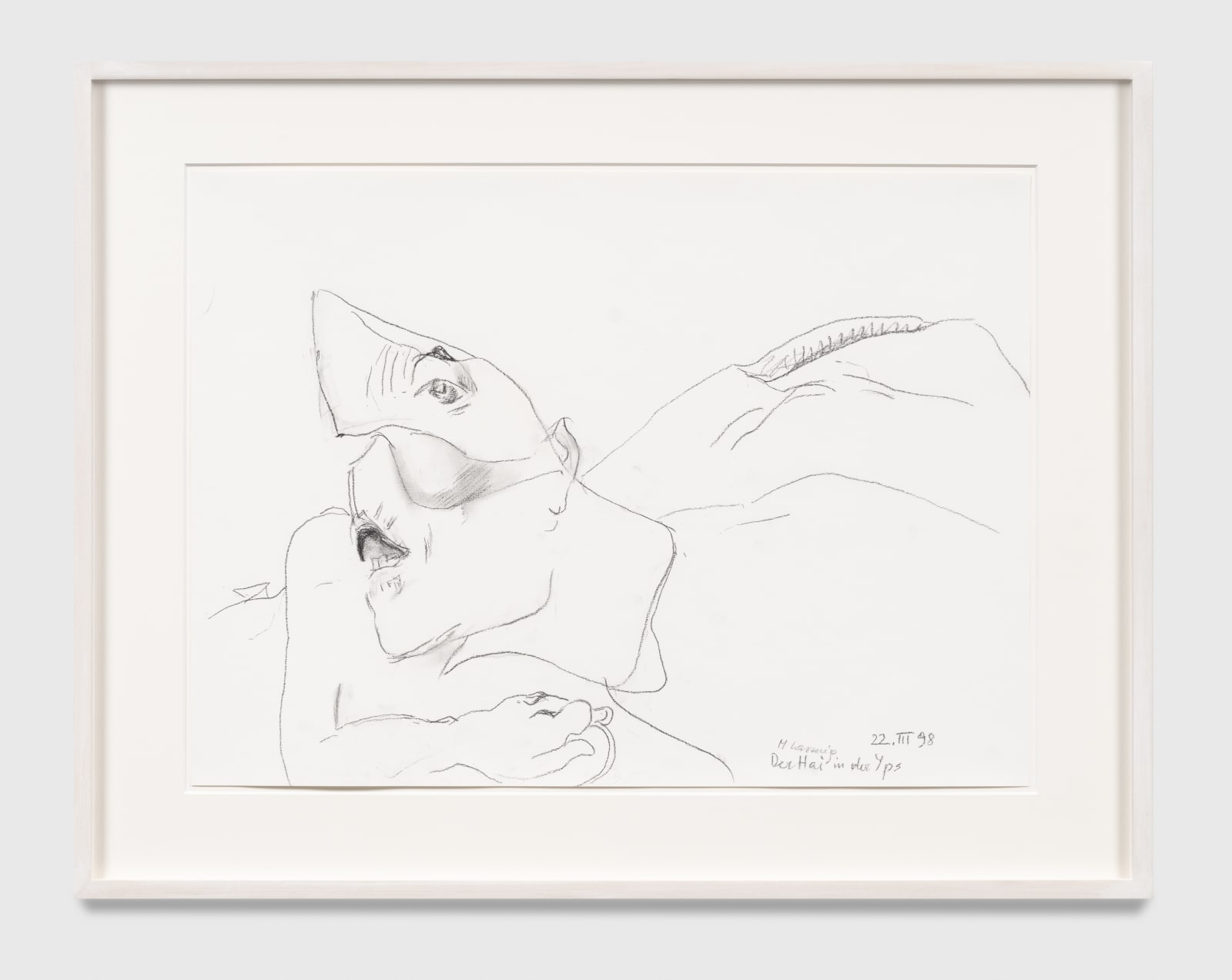 Maria Lassnig, Der Hai in der Yps [Ybbs] (The Shark in the River Ybbs), 1998