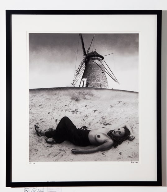 Vivan Sundaram, Amrita Dreaming 2, 2002