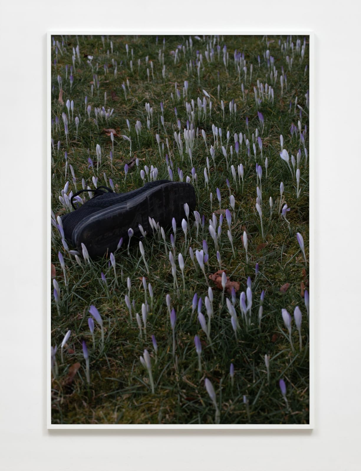 Paul Hutchinson, untitled (bottom ground), 2021