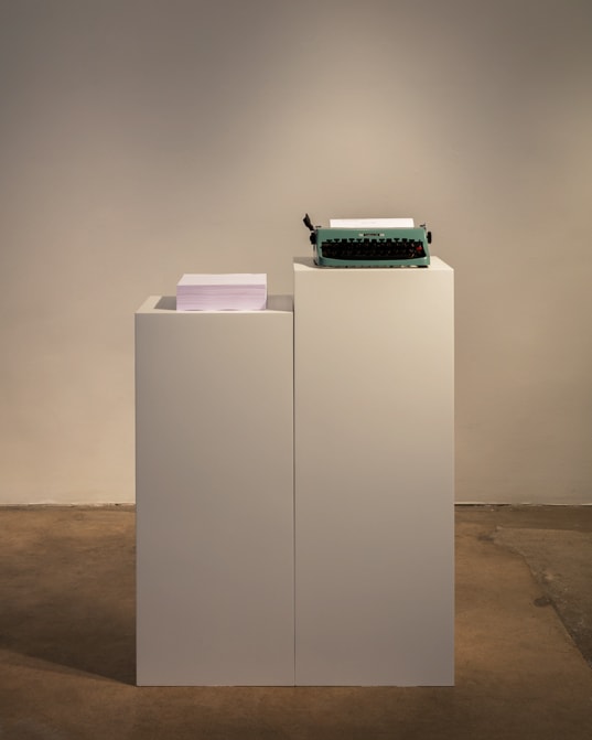 Fiona Banner, Dummy, 2013