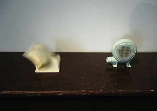 Gao Weigang, Manner of Speaking, 2009