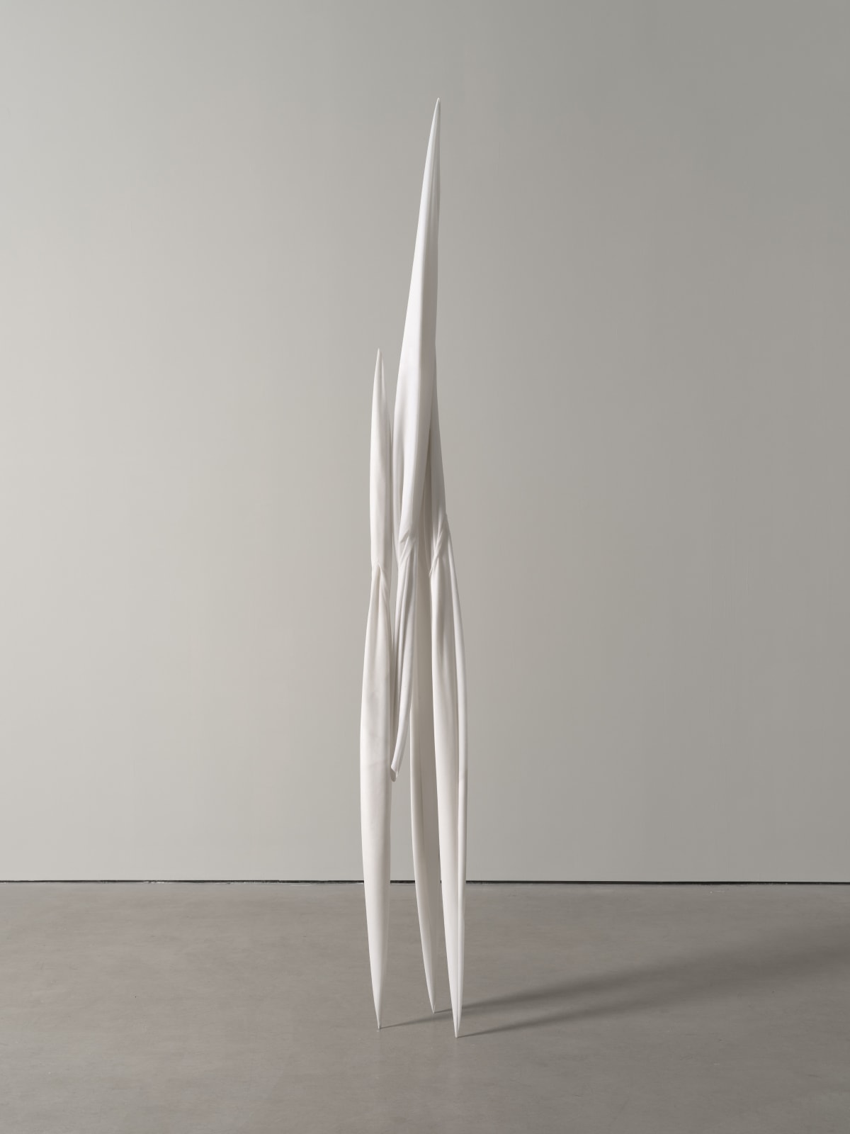 Eli Ping, Monocarp, 2024