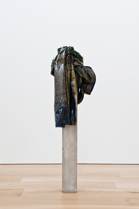 Bharti Kher, Portrait of a lady IV, 2012