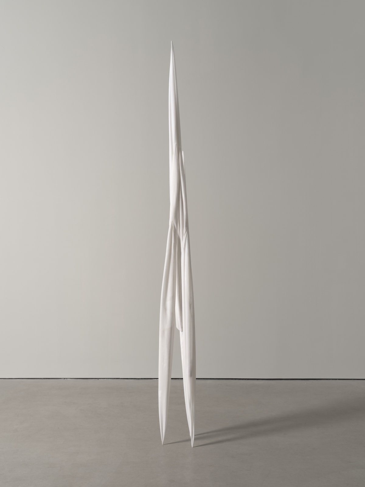 Eli Ping, Monocarp, 2024