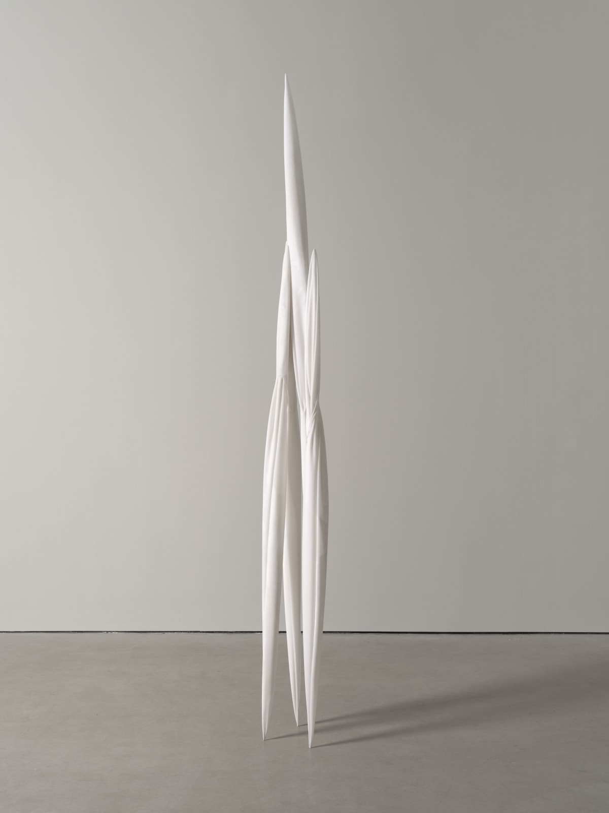 Eli Ping, Monocarp, 2024