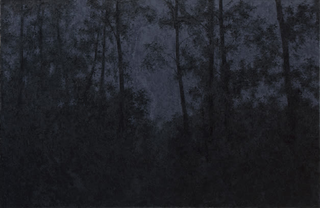Pan Jian, Shadow of Light - 2, 2012