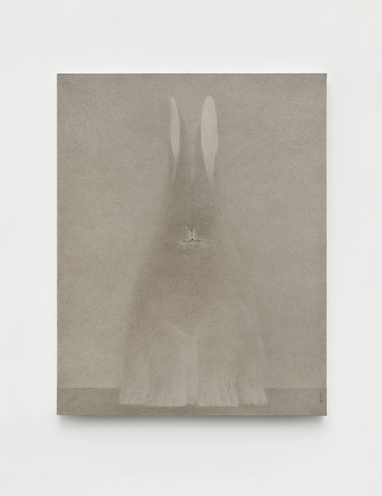 Shao Fan, Rabbit 1624, 2024