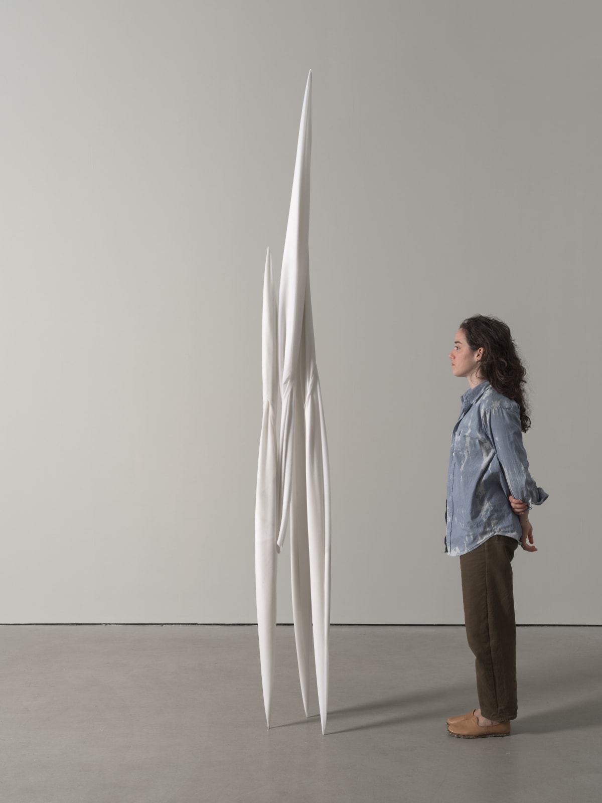 Eli Ping, Monocarp, 2024