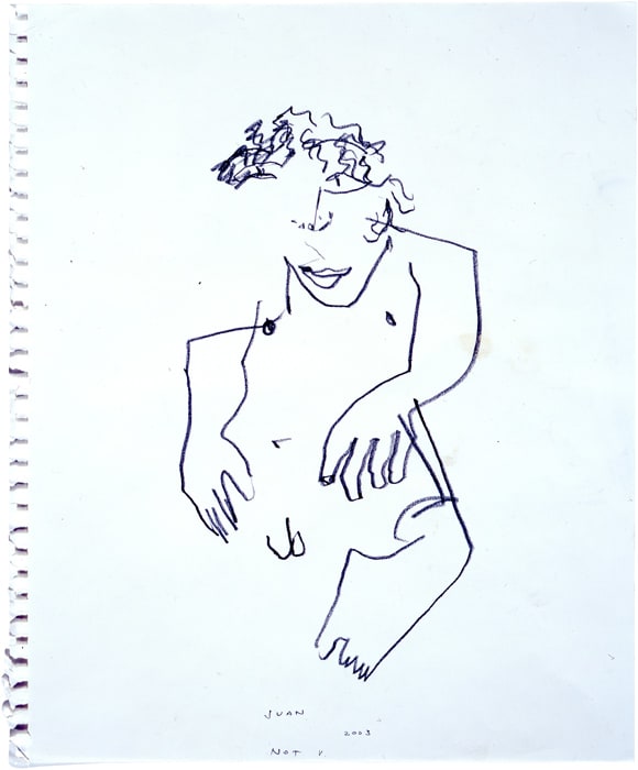 Not Vital, Juan, 2003