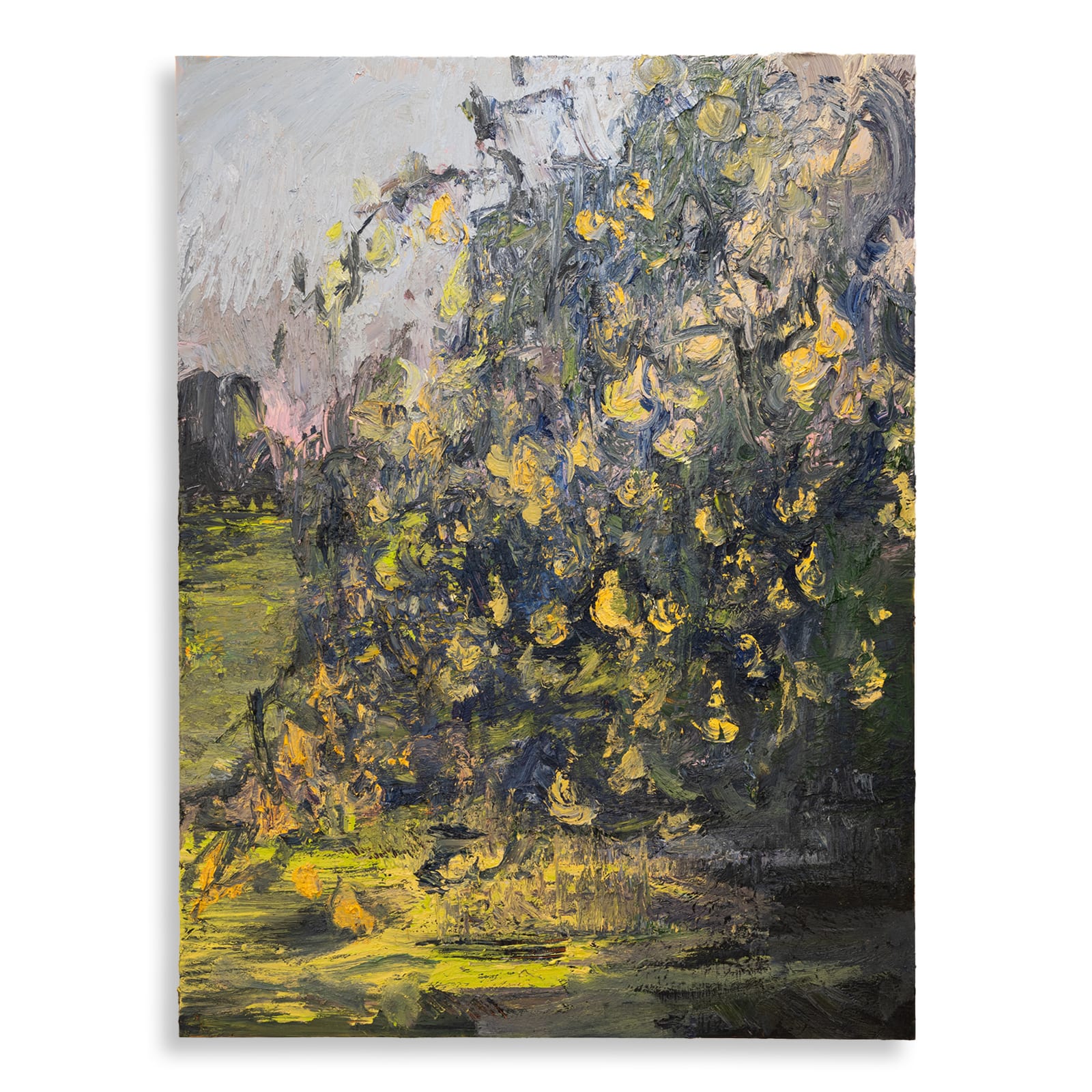 Nils Verkaeren Painting Pears with Pears, 2025. Image courtesy of Buysse Gallery. © Nils Verkaeren. All rights reserved.