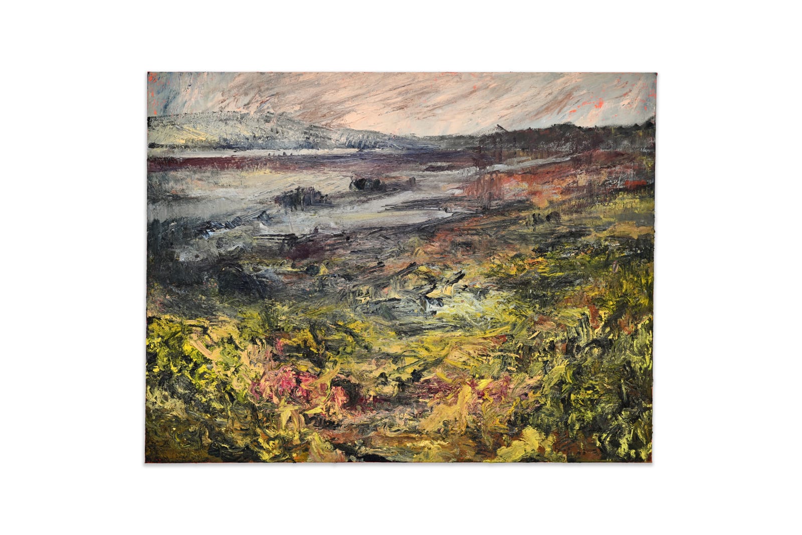 Nils Verkaeren, The Earth Paints Back, 2024. Image courtesy of Buysse Gallery. © Nils Verkaeren. All rights reserved.