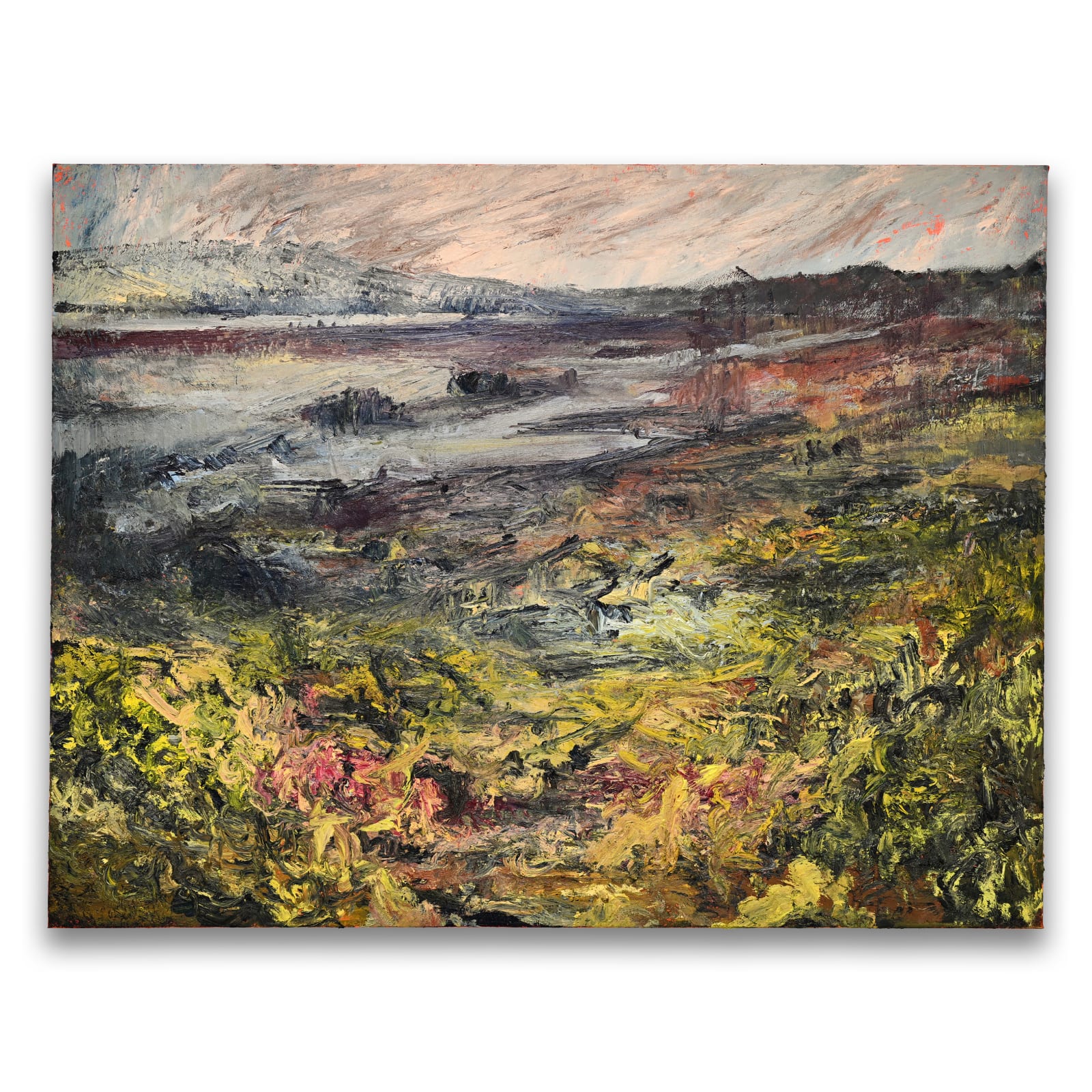 Nils Verkaeren, The Earth Paints Back, 2024. Image courtesy of Buysse Gallery. © Nils Verkaeren. All rights reserved.