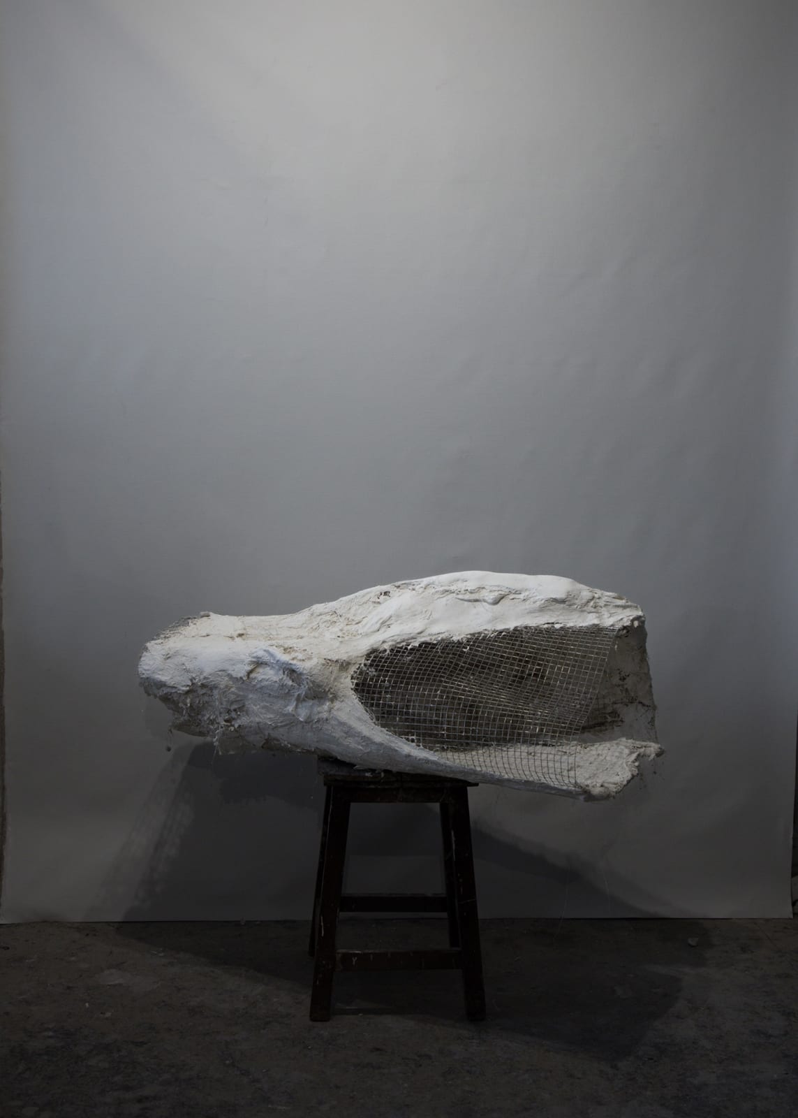 Roxane Gouguenheim, Épreuve H_3, 2026