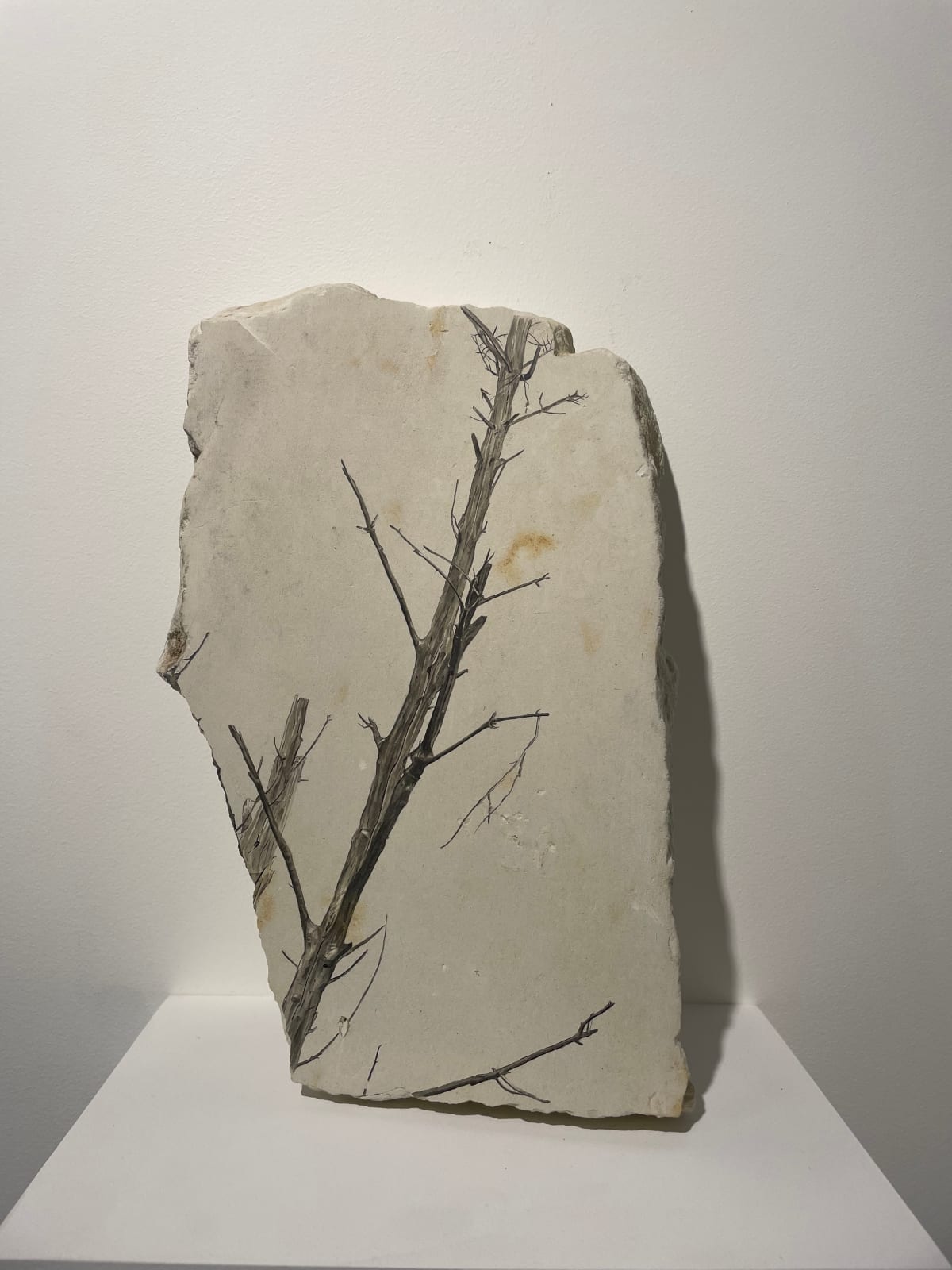 Fabien Mérelle, Fragment #31, 2023