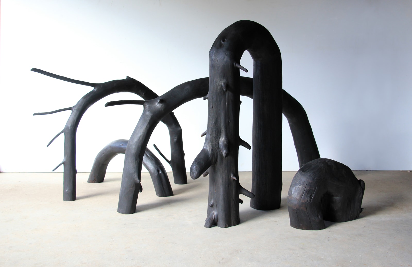 Lélia Demoisy, Retour à la terre, 2022