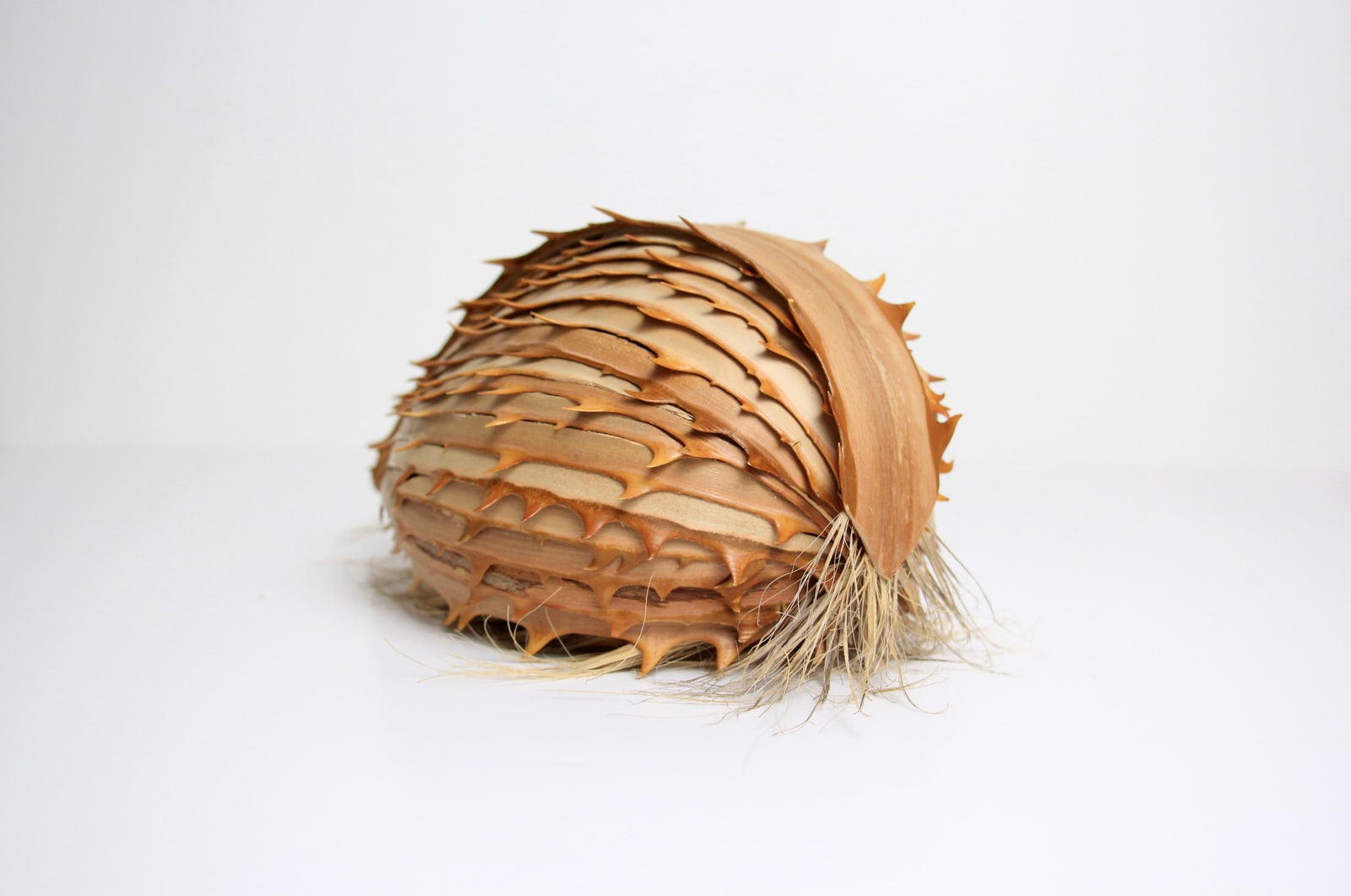 Lélia Demoisy, Possibilité n°11, 2024