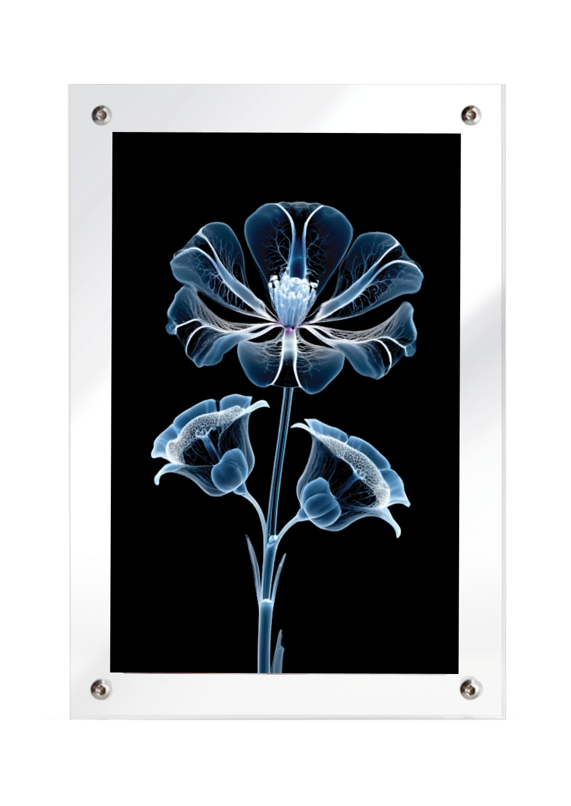Gabriel Barcia-Colombo: Natural Selection, Plant 3, 2024