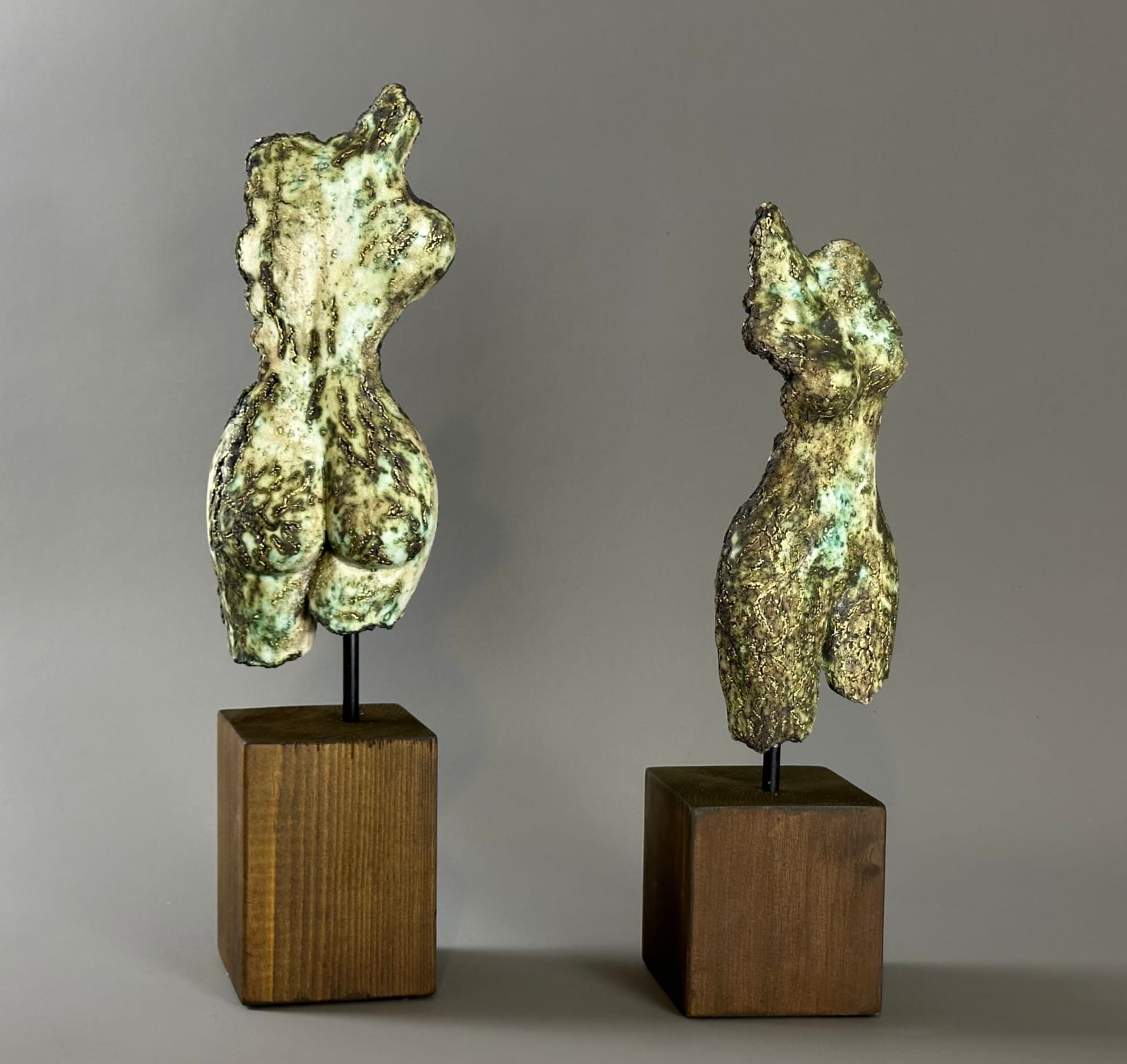 Ferri Farahmandi, Small Torso - Back, 2025