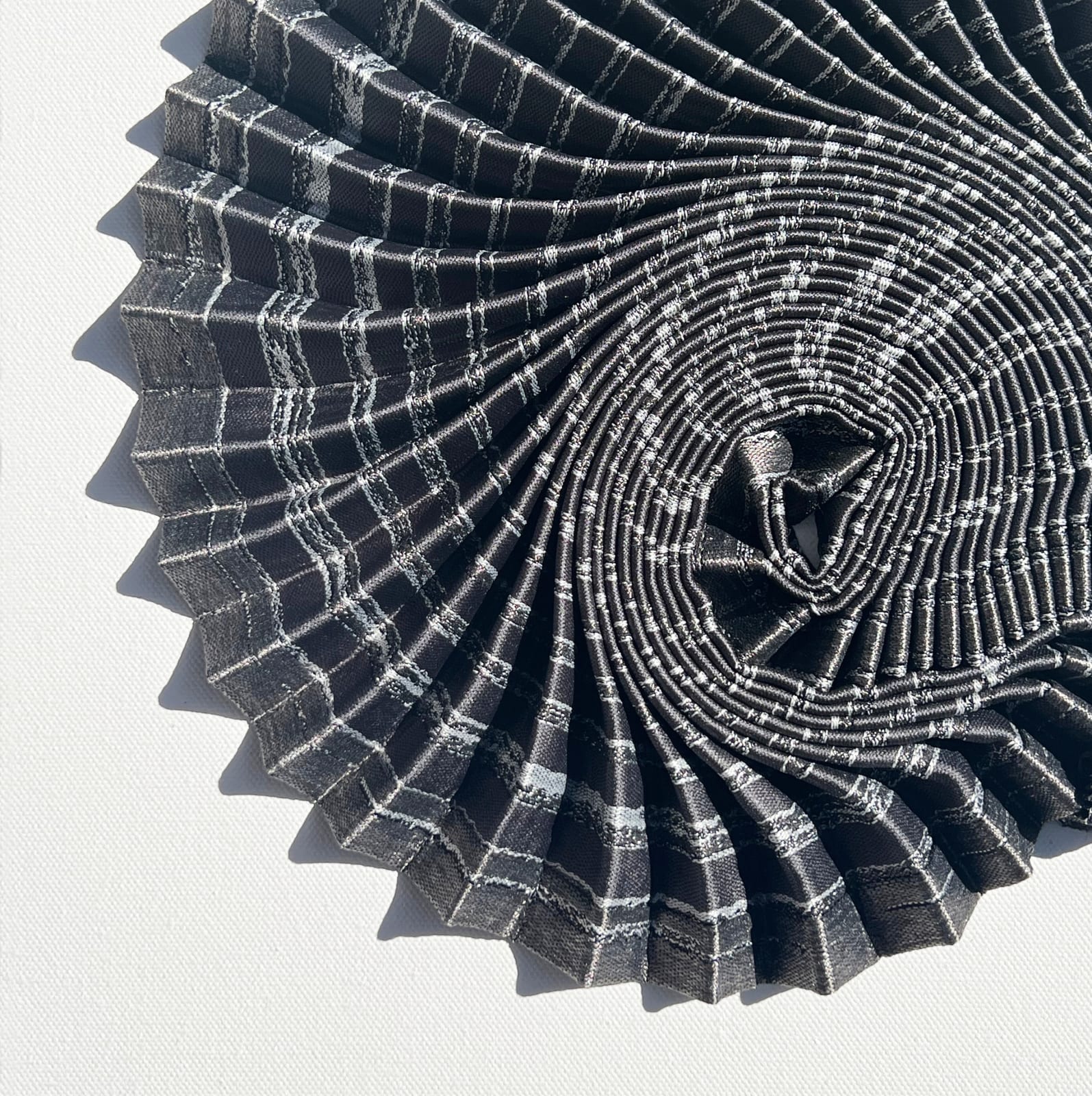Hannah White, Ammonite Shadow: Asteroceras Curl, 2023