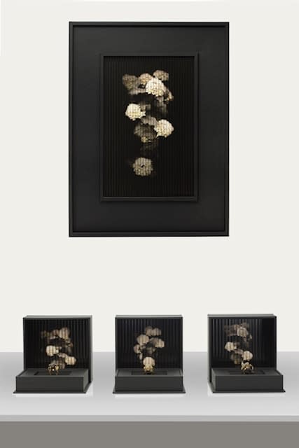 Donna Brennan, Fluted Image, 2024