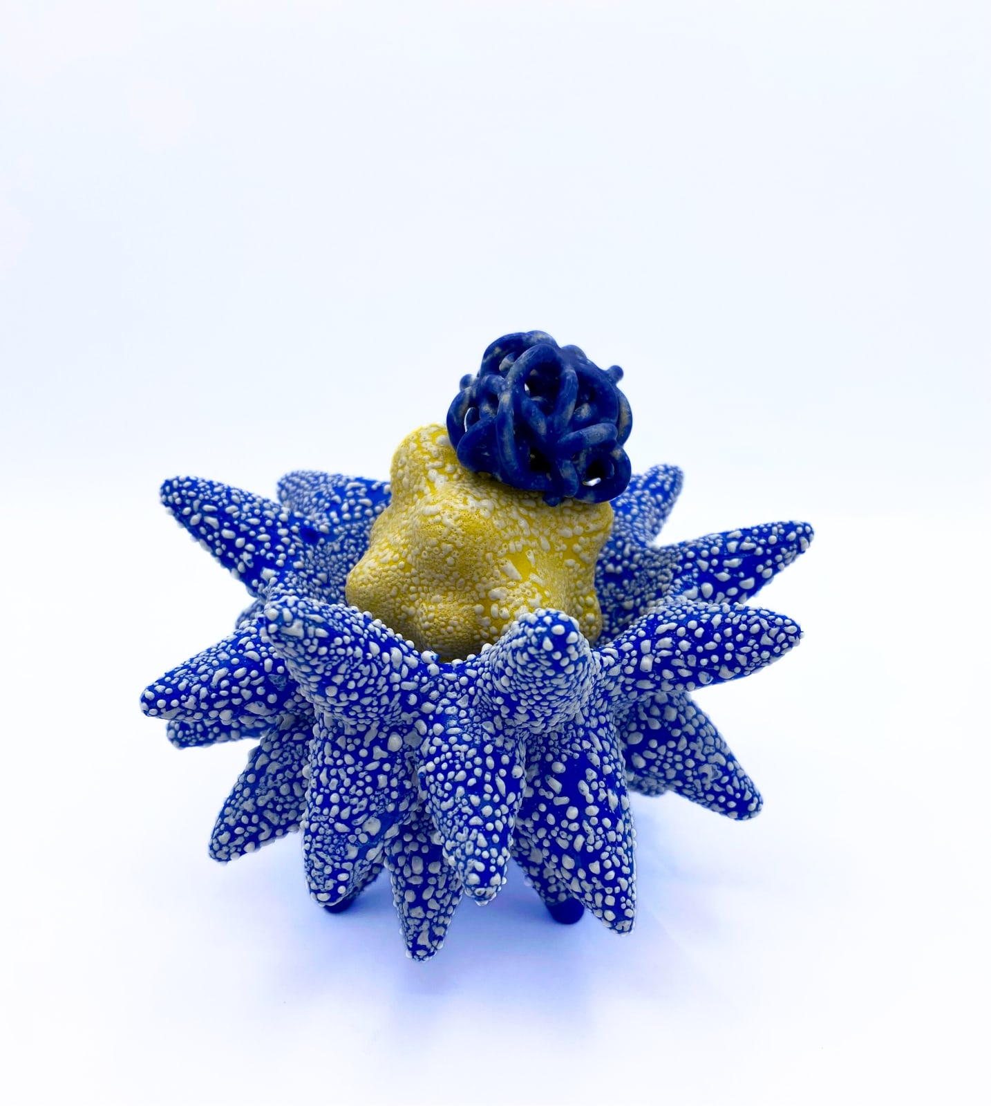 Tessa Eastman, Miniature Cloud Bundle in Pollinating Creature Blue Yellow, 2024