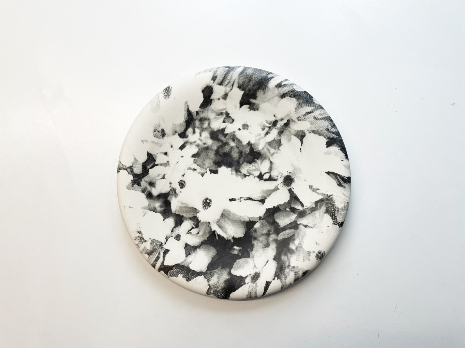Heidi Harrington, Bloom Wall Plate, 2024