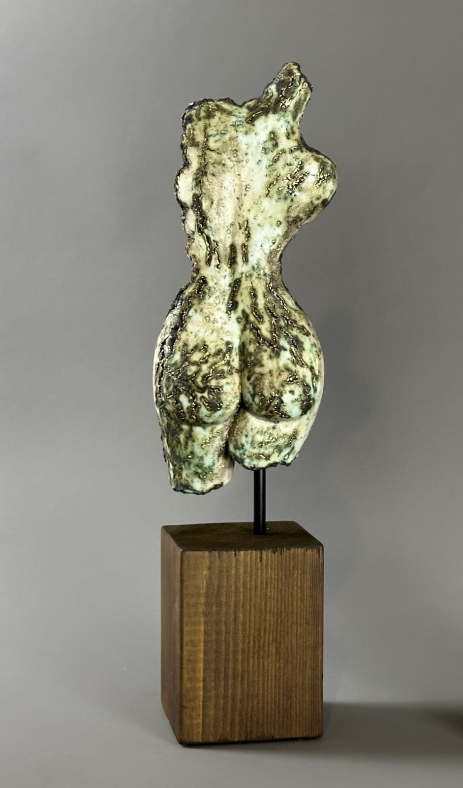 Ferri Farahmandi, Small Torso - Back, 2025